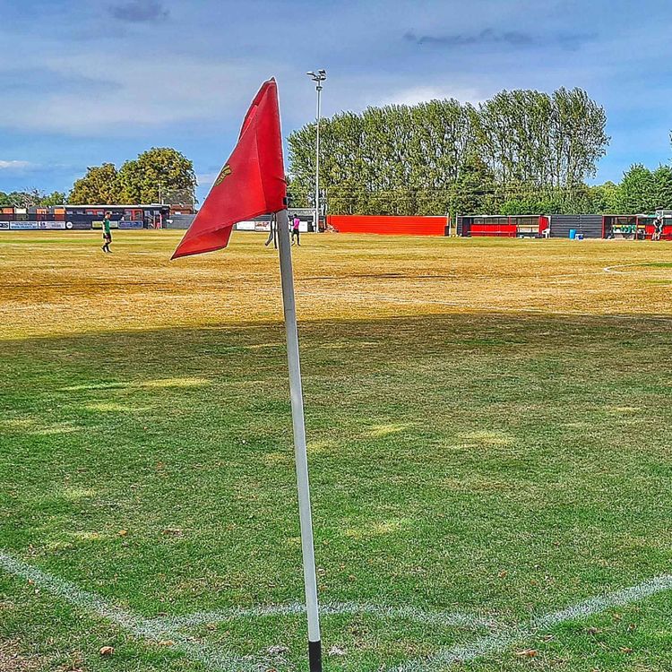 cover art for Ain't Got No Money, And I Ain't Got No Hair