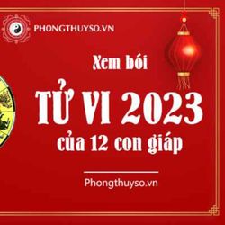 cover art for Tử vi 2023 phong thuỷ số