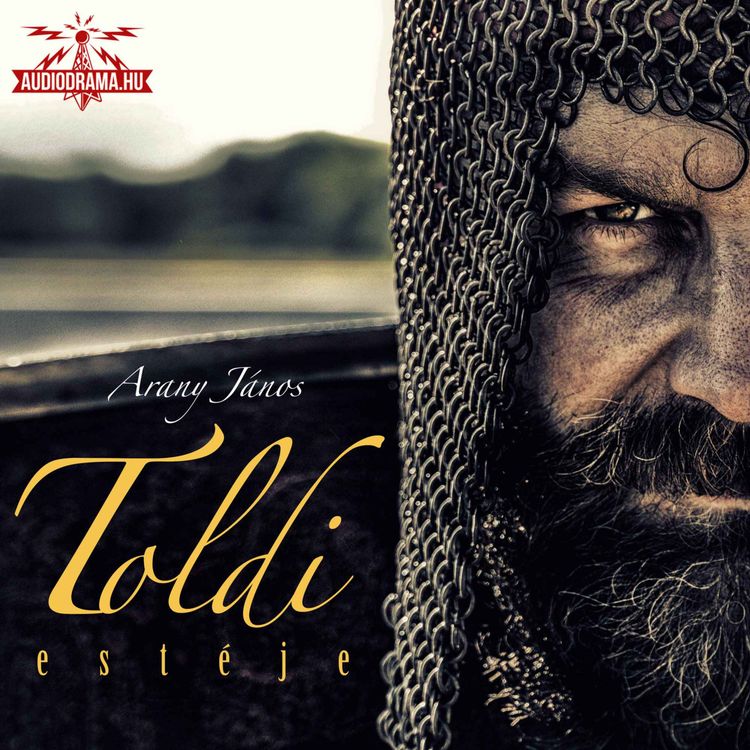cover art for Toldi Estéje - Első rész
