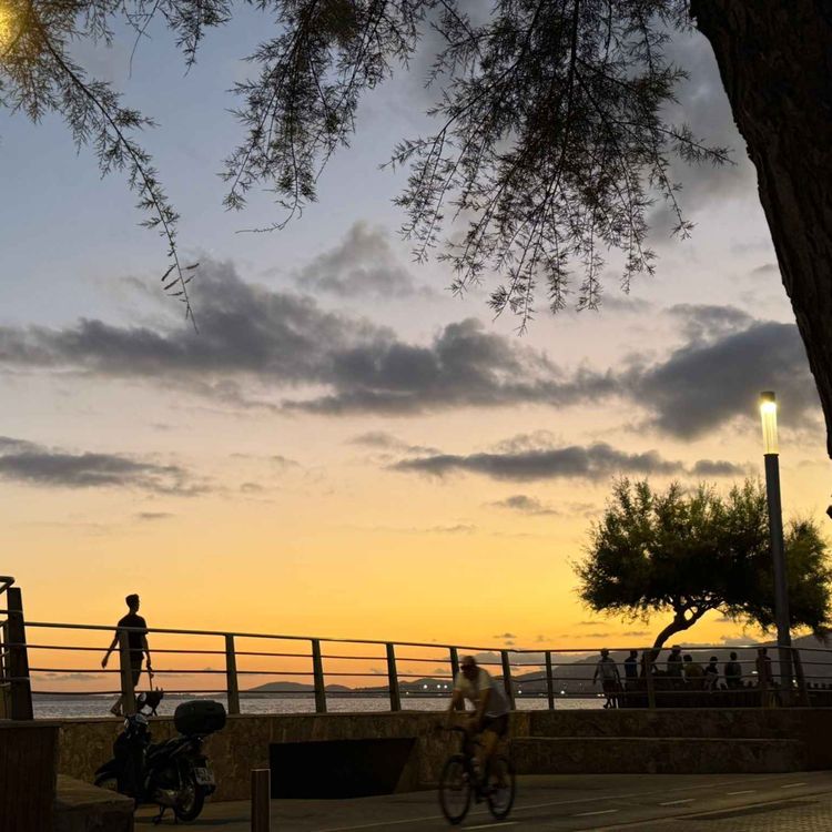 cover art for Zinemaldia 2025. Previa, Spike Lee y Ari Aster.