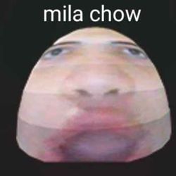 cover art for The mila show