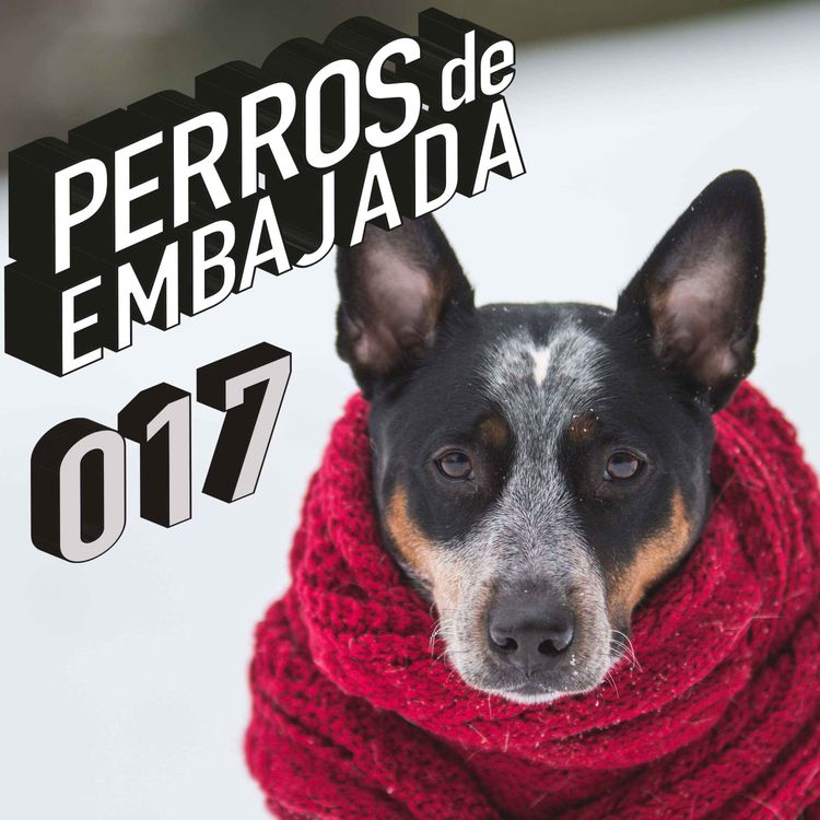 cover art for 017 RETROSPECTIVA 2022. Principales noticias el año pasado