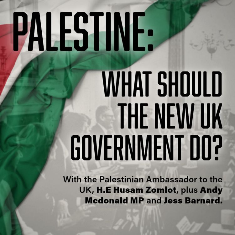 cover art for Palestine: What should the new UK Government do?