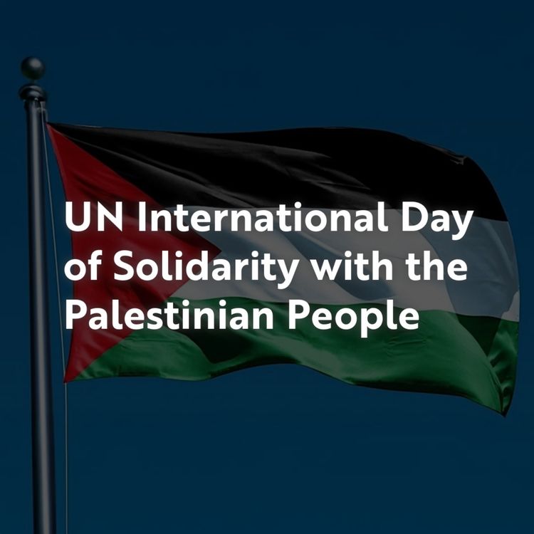 cover art for UN Day of Solidarity with the Palestinian People Briefing 