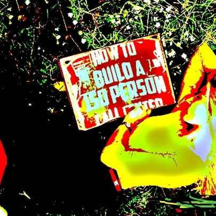 cover art for Big Boss Show. How to Build a 150 Person Call Center and Train Telemarketers with Richard Blank