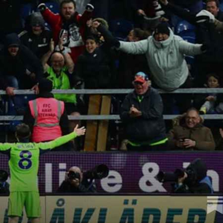 cover art for Harry Wilson and the 74-year curse