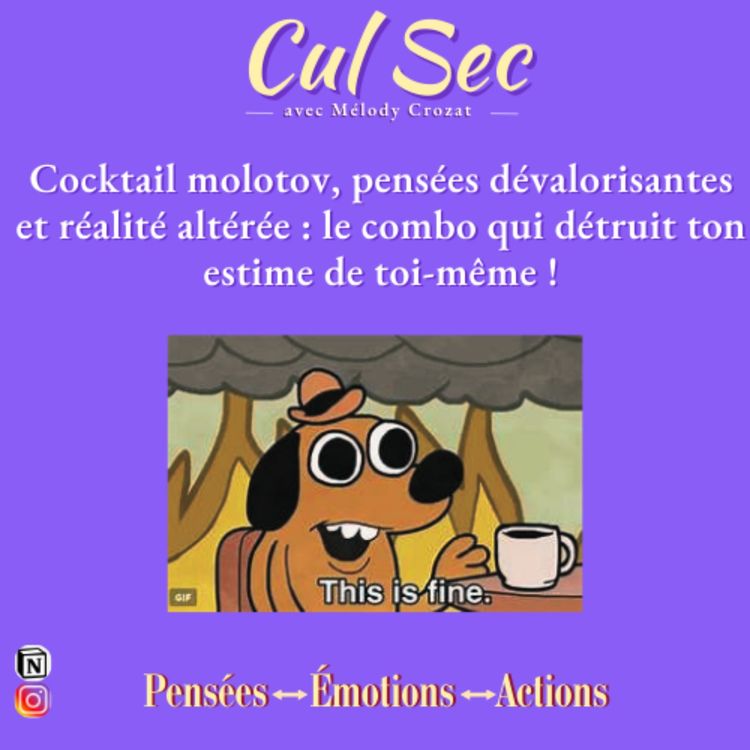 cover art for 10. Le cocktail molotov qui t'empêche d'avoir de l'estime pour toi-même (part.1)