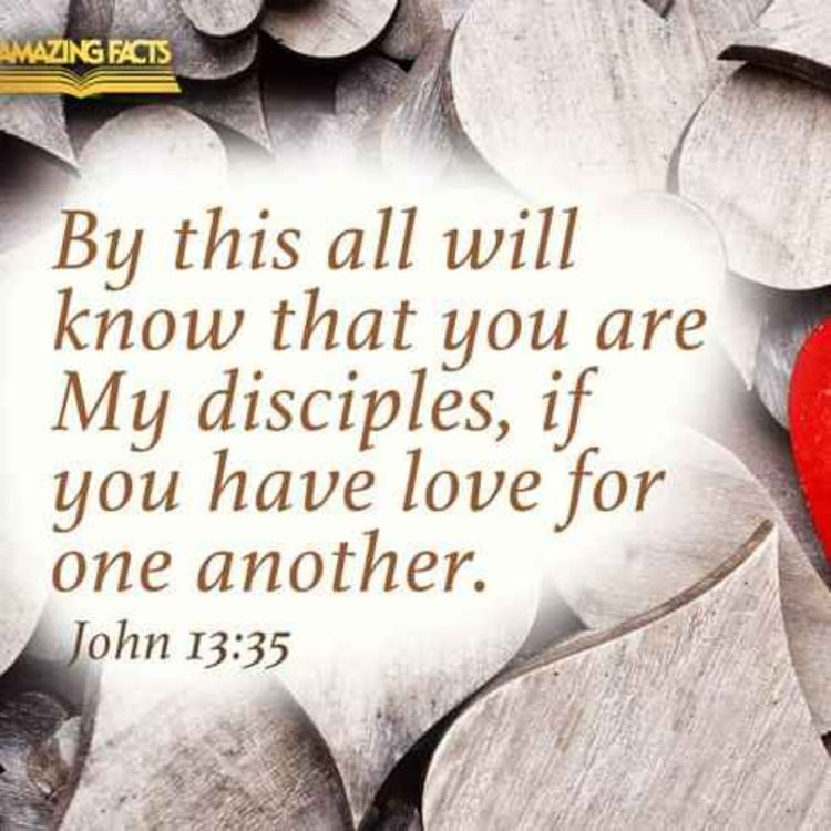 cover art for A New Commandment (John 13:31-35)