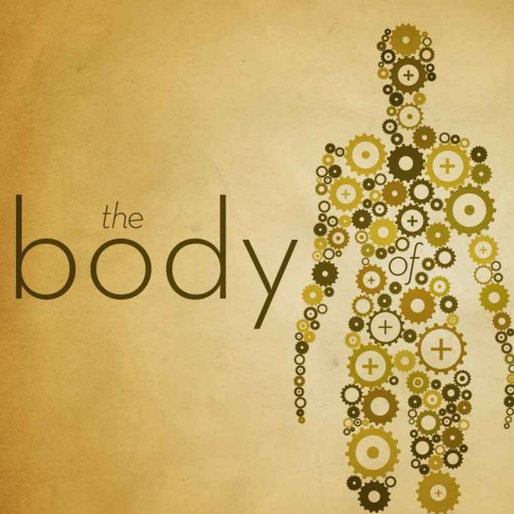 cover art for Growing in the body of Christ (Ephesians 4:11-16)