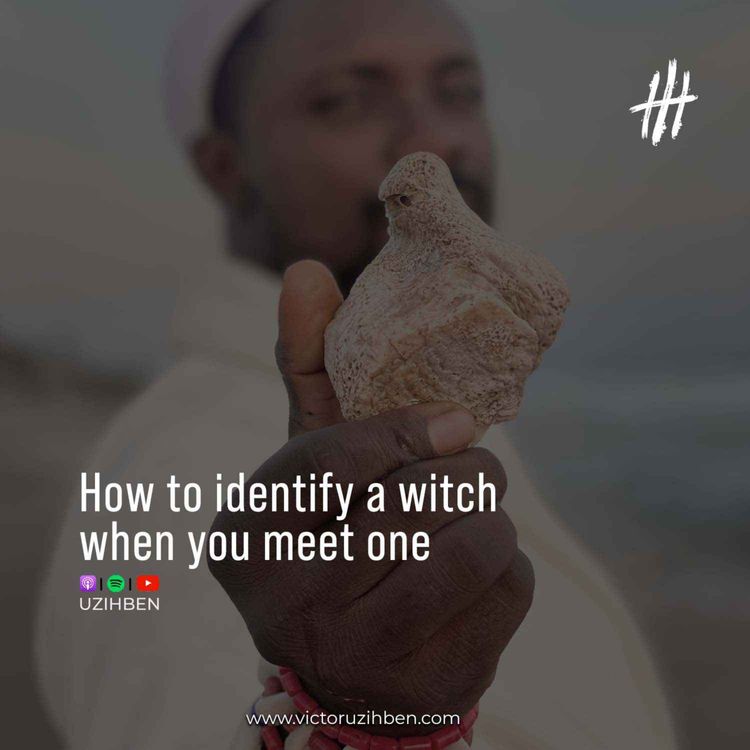 cover art for How to identify a witch when you meet one