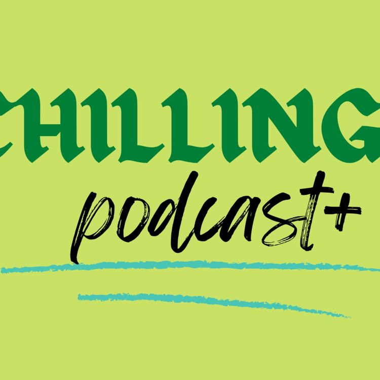 cover art for File 5