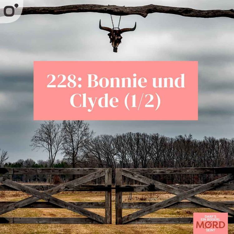 cover art for Episode 228: Bonnie und Clyde (1/2)