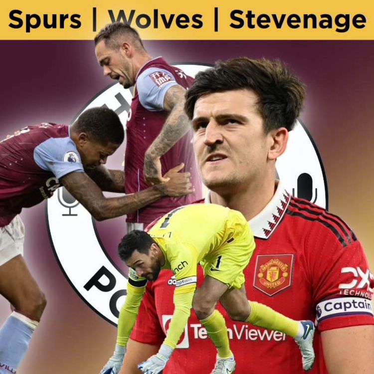 cover art for Harry Maguire, Bailey and cup manager Unai