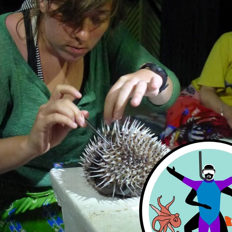 cover art for Diving into Ocean Conservation