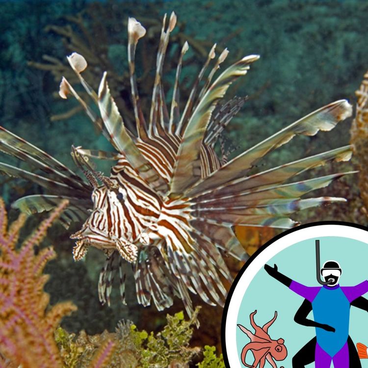 cover art for Ocean aliens - the problem of species in the wrong place