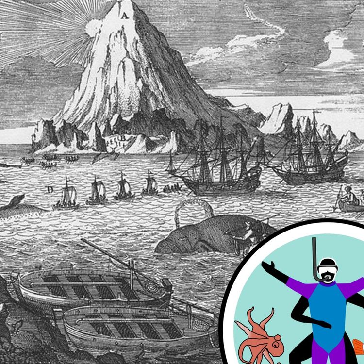 cover art for Ocean treasures, old and new