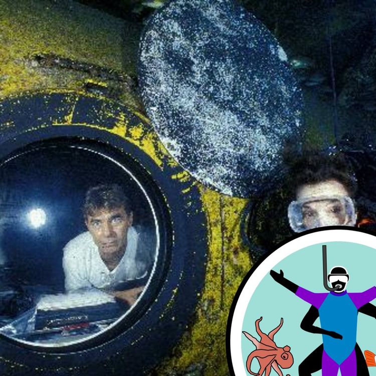 cover art for So you want to be a marine scientist?