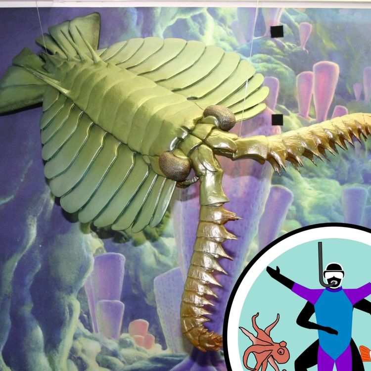 cover art for Life and Death in ancient seas