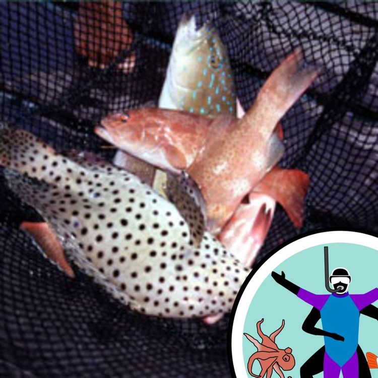 cover art for Trading the Oceans