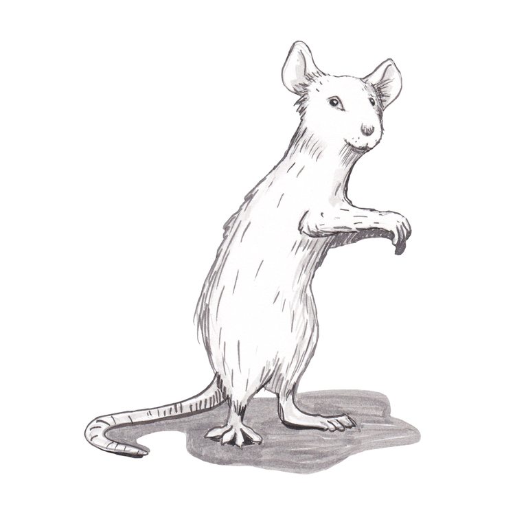 cover art for Chapter 7: the SMA gang