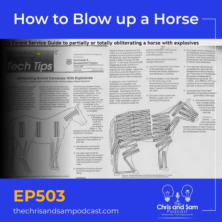 cover art for How to Blow up a Horse