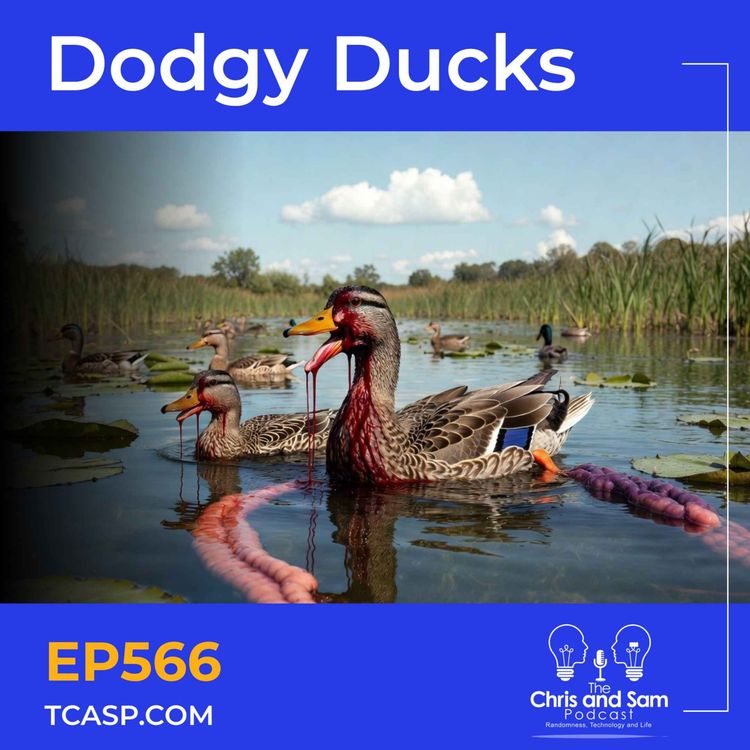 cover art for Dodgy Ducks