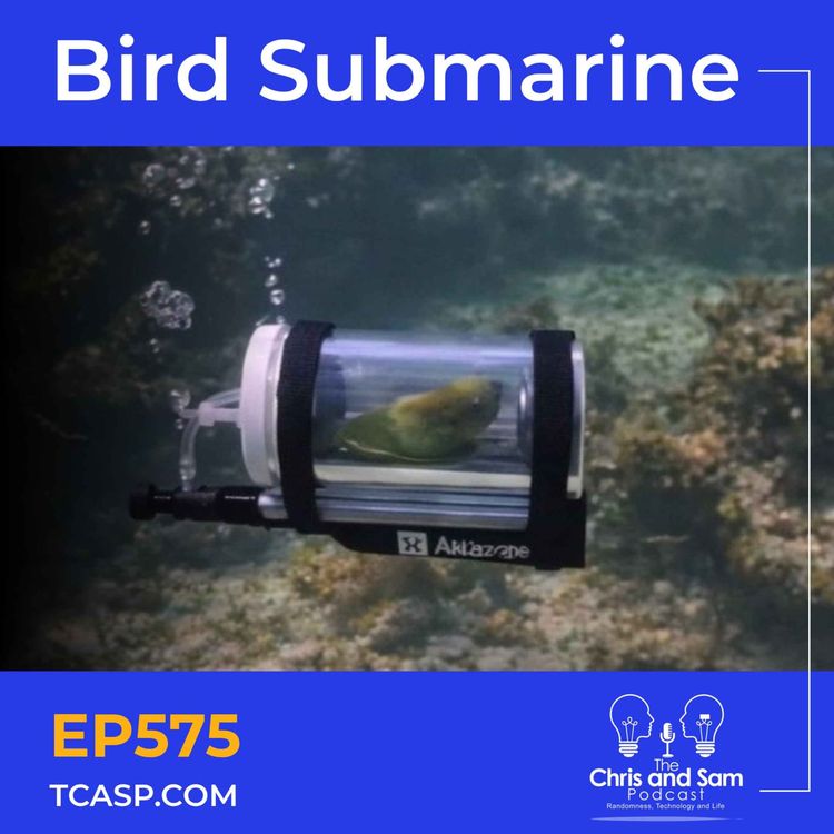 cover art for Bird Submarine