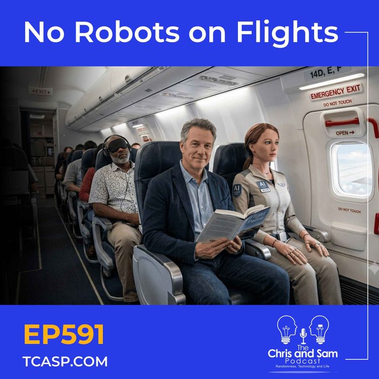 cover art for No Robots on Flights