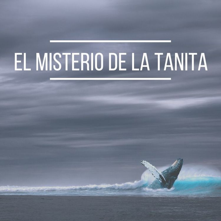 cover art for El Misterio De La Tanita