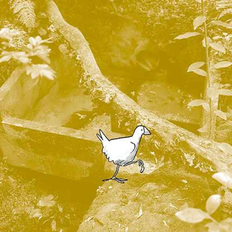 cover art for The Waters Flow