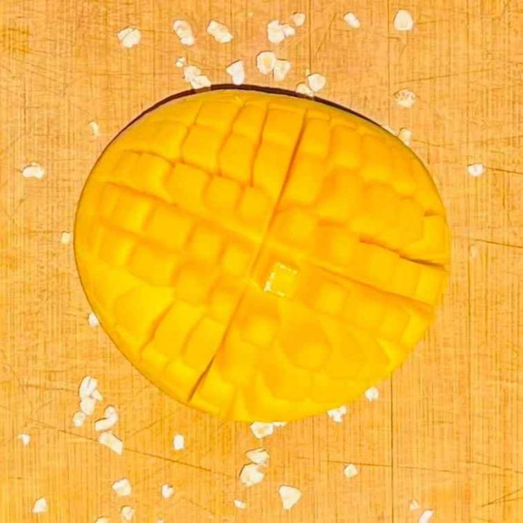 cover art for Support Staff 