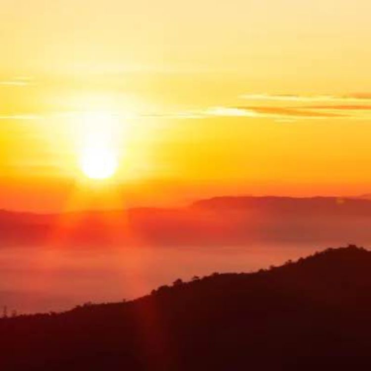 cover art for LAS BUENAS NOTICIAS LLEGAN EN 2025