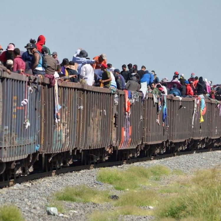 cover art for MIGRANTES, EL DILEMA EN EEUU