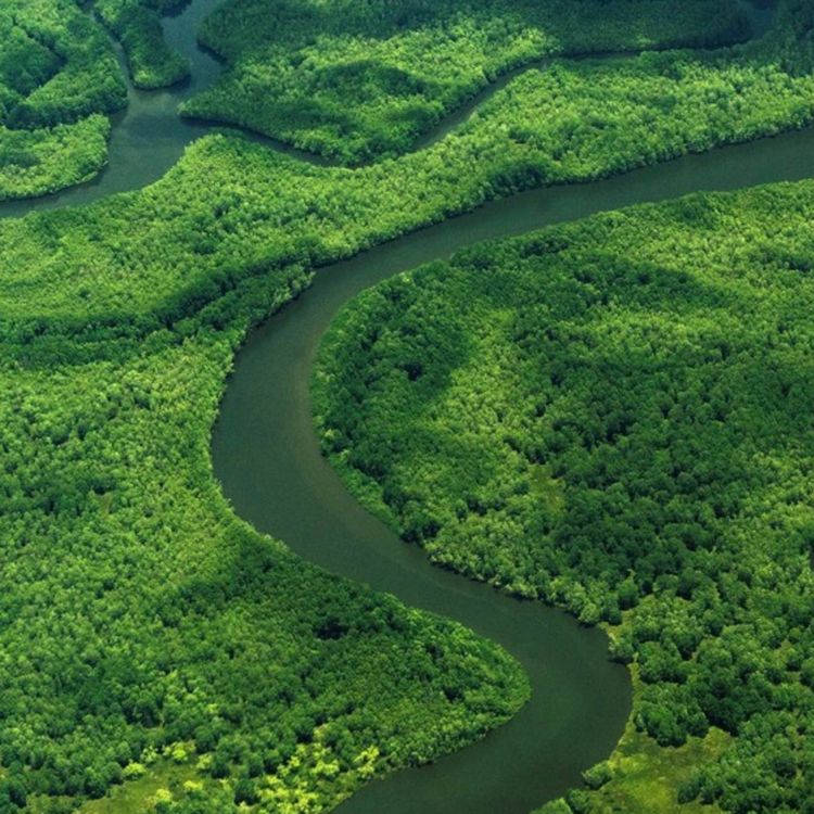 cover art for COSTA RICA, NUEVO OBJETIVO NARCO