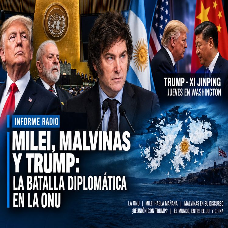 cover art for MALVINAS A LA ONU
