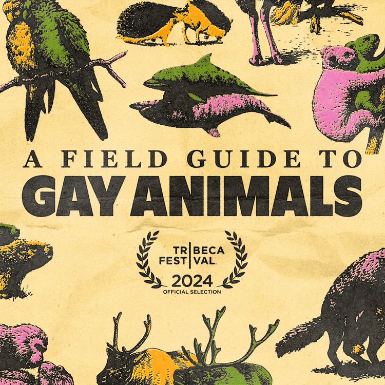 cover art for Introducing A Field Guide to Gay Animals