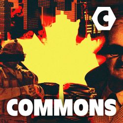 cover art for COMMONS