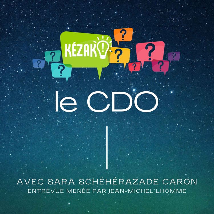 cover art for #02 Kézako... le Chief Digital Officer ?