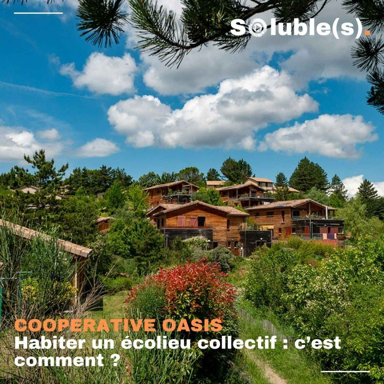 cover art for « Les Oasis » | Habiter un écolieu collectif : c’est comment ?