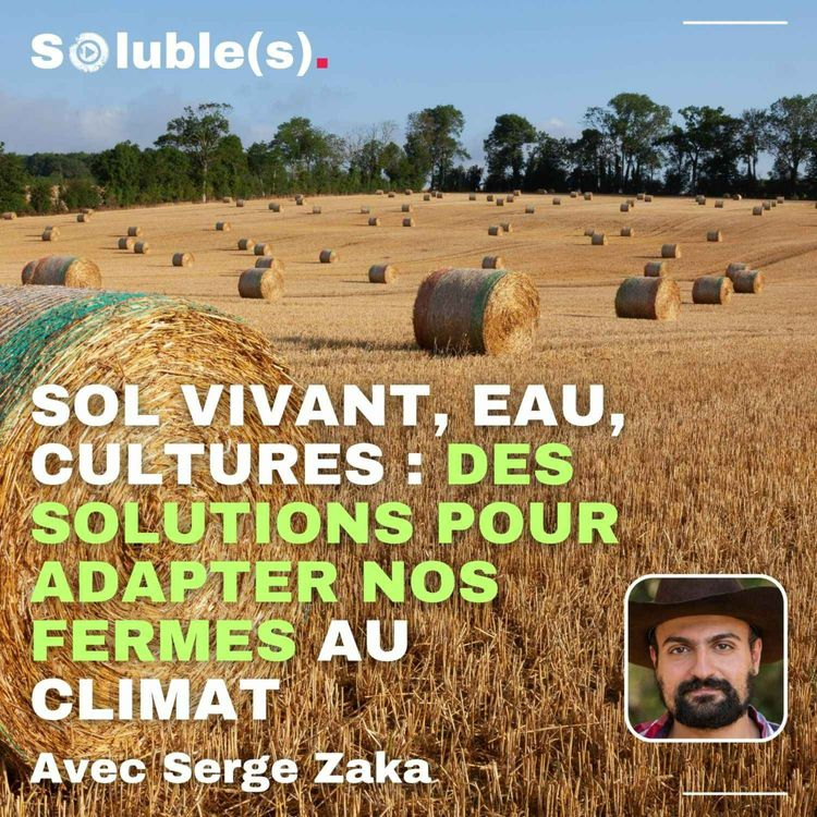 cover art for Sol vivant, eau, cultures : des solutions pour adapter nos fermes au climat ? — avec Serge Zaka