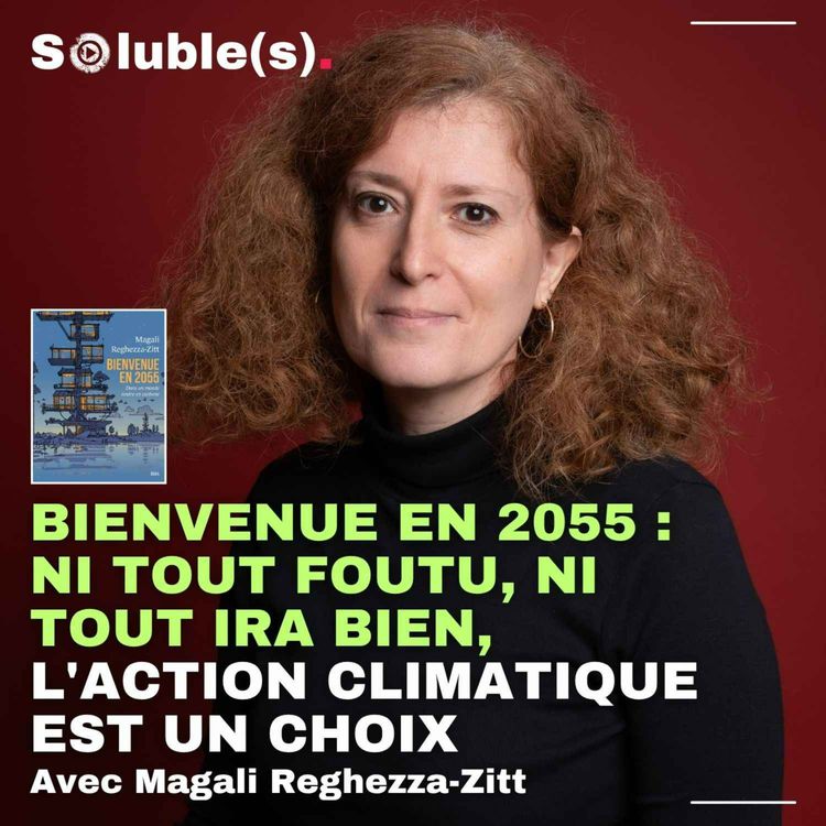 cover art for Bienvenue en 2055 : ni tout foutu, ni tout ira bien, l'action climatique est un choix — avec Magali Reghezza-Zitt