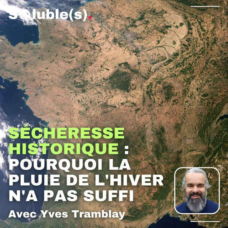 cover art for Sécheresse historique : pourquoi la pluie de l'hiver n'a pas suffi — avec Yves Tramblay