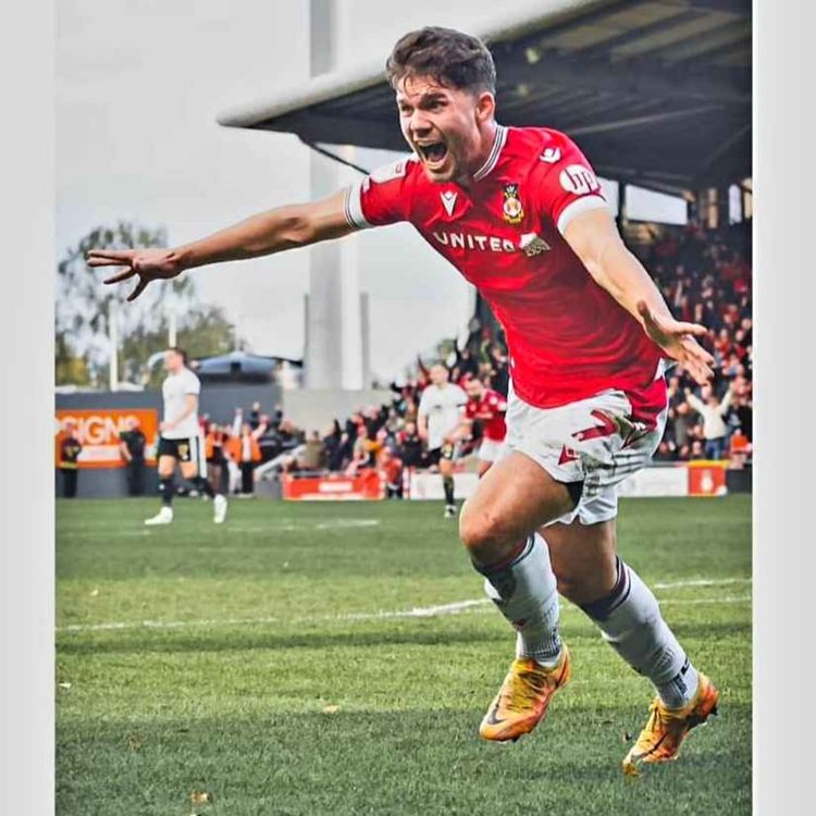 cover art for PARKI's PERFECT PLAN