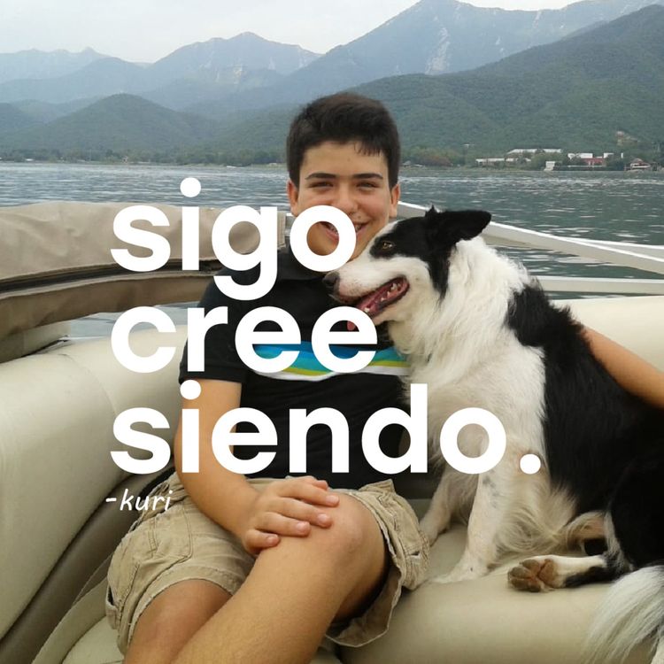 cover art for Domino