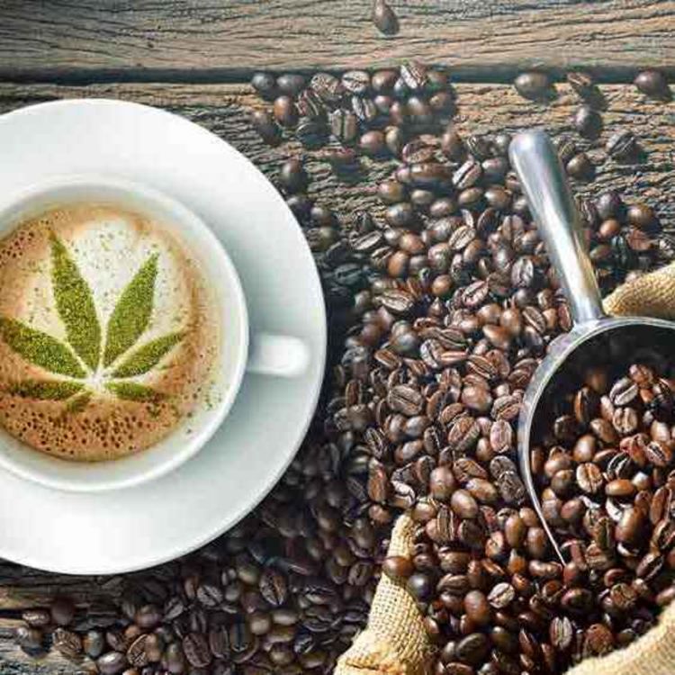 cover art for Major Health Benefits Of Having CBD Coffee Online