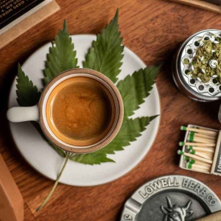 cover art for Possible Health Benefits of CBD Coffee You Cannot Overlook