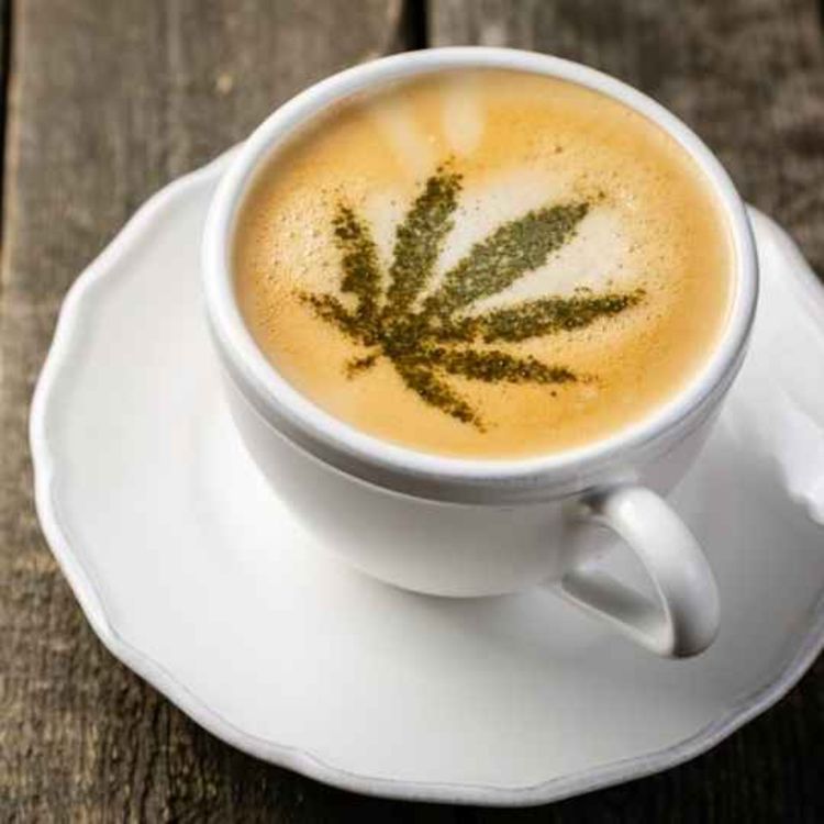 cover art for Start Your Day With CBD Coffee Online to Stay Energized And Stress Free!!!