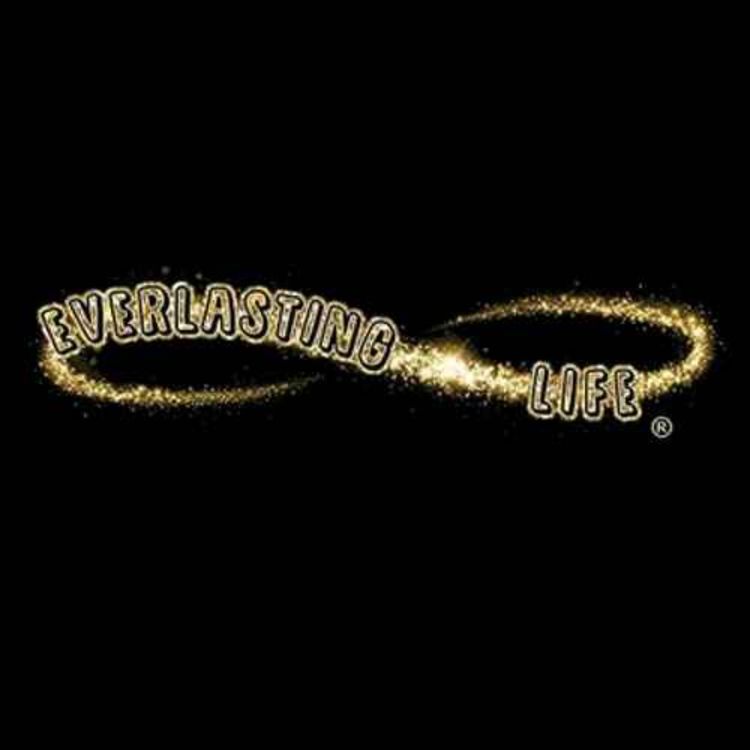 cover art for Treating Seizures In Cats With CBD Cat Pet Treats