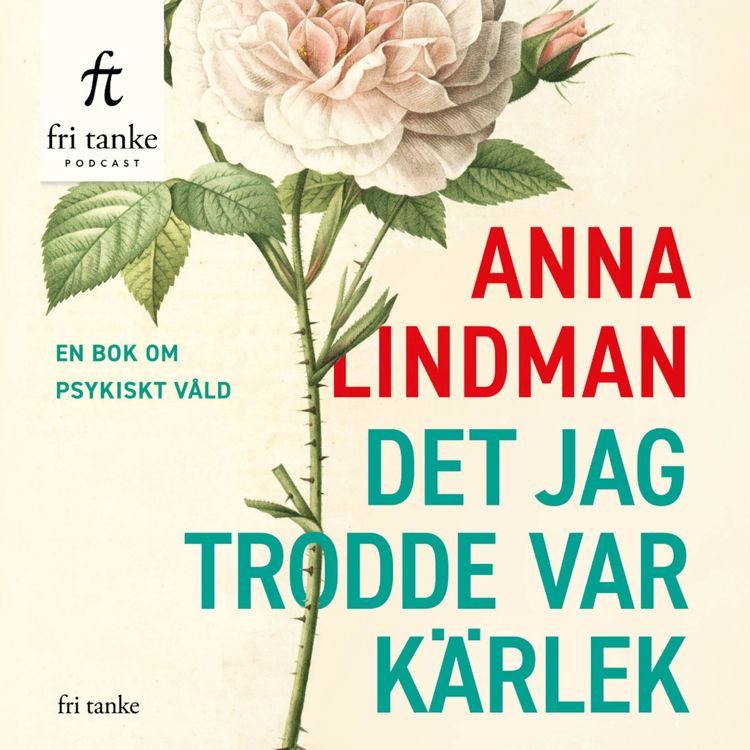 cover art for Det jag trodde var kärlek: 1 - Om när kärlek blir till våld