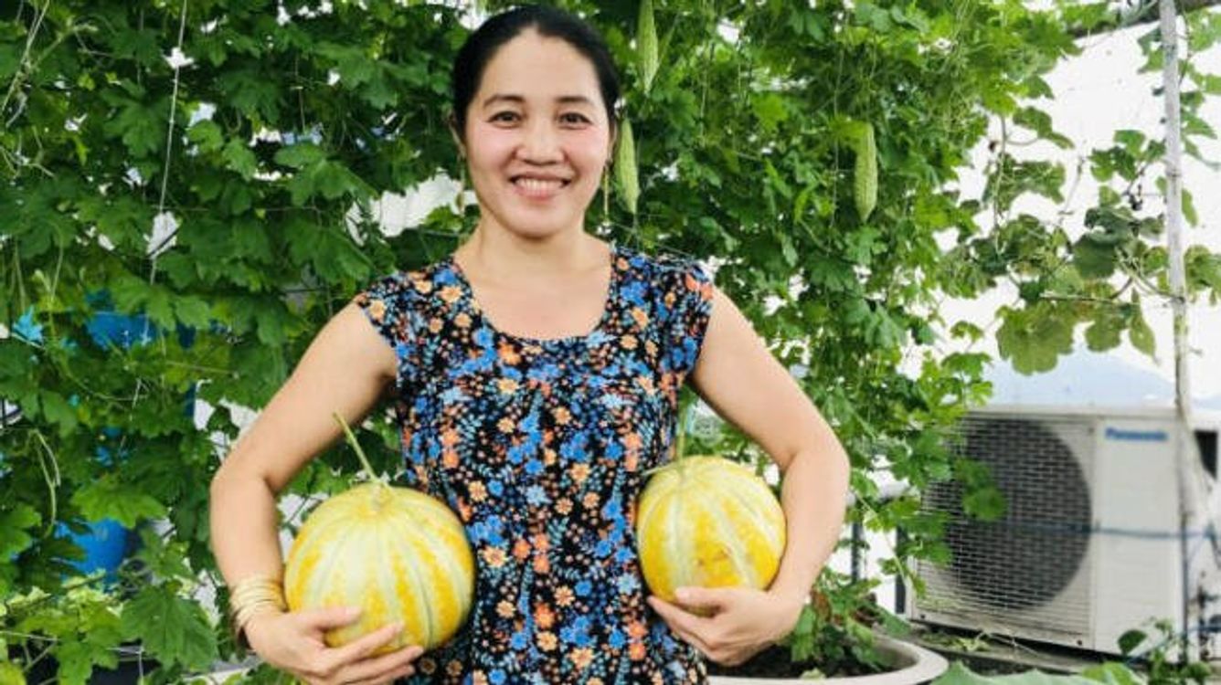 cover art for Miniature garden on the roof